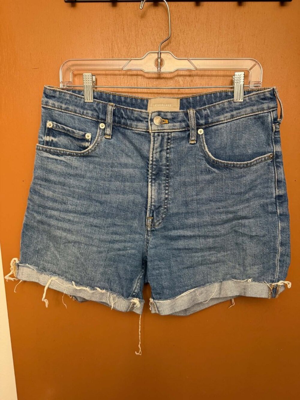 Everlane The Cheeky Short